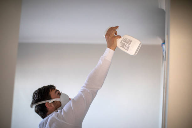Home Mold Removal in Clinton, MS