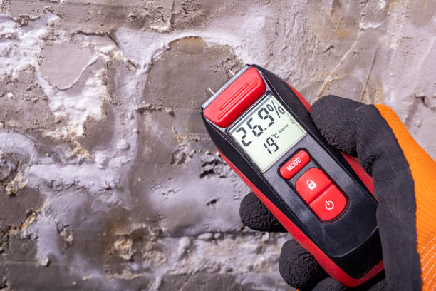 Best Residential Mold Removal  in Clinton, MS