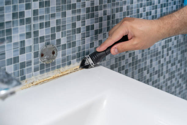 Best Home Mold Removal  in Clinton, MS