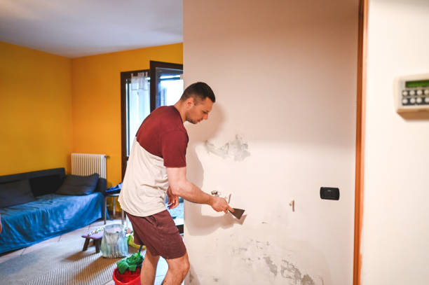 Best Emergency Mold Removal  in Clinton, MS